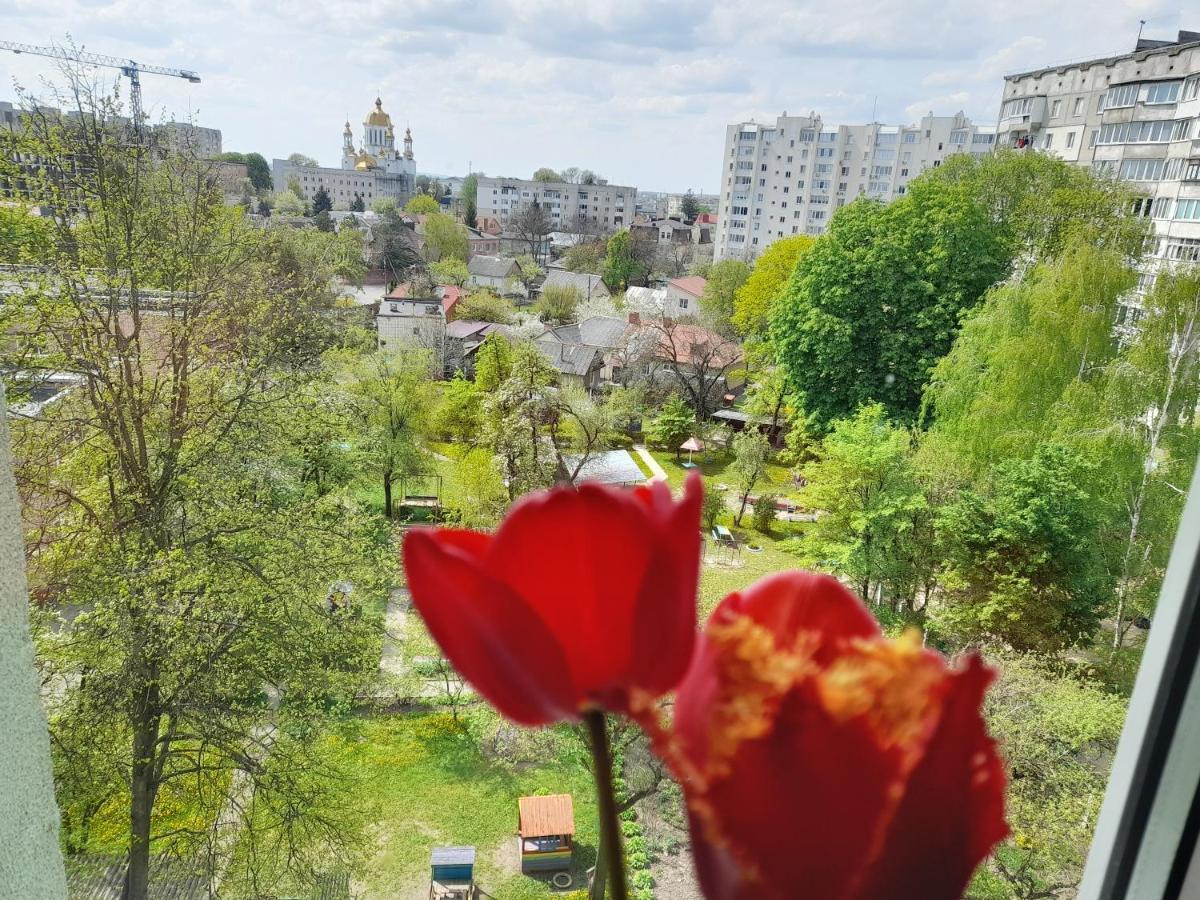 Апартаменти Біля Автовокзалу รีฟเน ภายนอก รูปภาพ